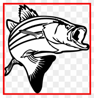 Banner Royalty Free Stock Bass Clipart Black And White - Largemouth Bass Bass Fish Clipart Transparent - Png Download