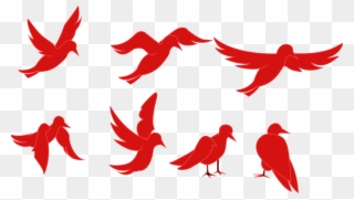 Adobe Edge Preview - Bird Flapping Wings Cartoon Clipart