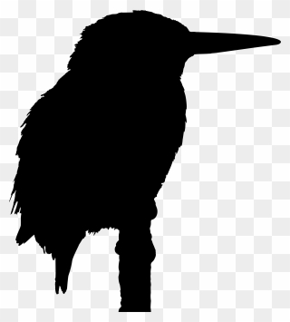 Big Bird Kingfisher Silhouette Drawing - Kingfisher Silhouette Clipart
