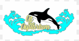 At The Aquarium - Killer Whale Clip Art - Png Download