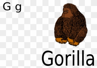 Free G For Gorilla - Gorilla Clip Art - Png Download