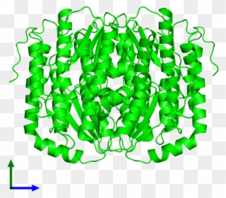 Dimeric Assembly 1 Of Pdb Entry 3c3j Coloured By Chemically - Molecule Clipart