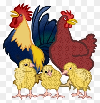 Clipart Chicken Real 4 - Sunday Have A Nice Day Good Morning - Png Download