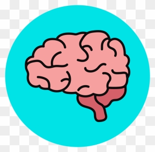 Neuropathology And Brain Bank - Human Brain Clipart