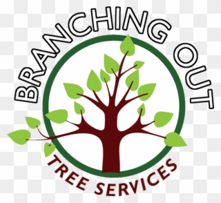 Tree Surgeon, Fencing, Landscaper In Congleton And - Branching Out Tree Services Clipart