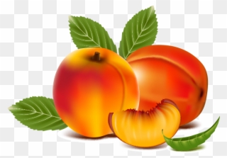 Image Black And White Stock Juice Peach Peaches Transprent - Peach Fruit Clipart - Png Download