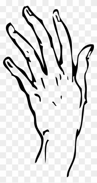 Prairie - Clipart - Hand Line Drawing Transparent - Png Download