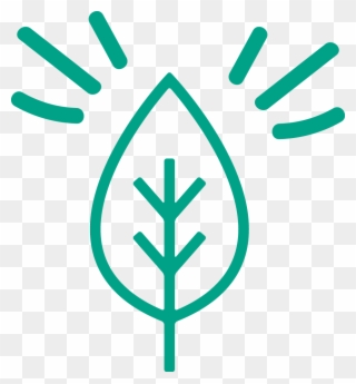 Sustainability Icon - Bio Line Icon Clipart