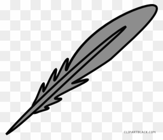 Turkey Feather Clipart - Turkey Feathers Transparent Clipart - Png Download