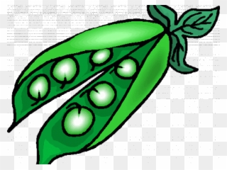 Pea Clipart Pea Plant - Clip Art Of Peas - Png Download