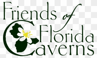 Friends Of Florida Caverns Logo - Calligraphy Clipart
