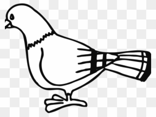 Dove Clipart Black And White - Pigeon Clip Art - Png Download