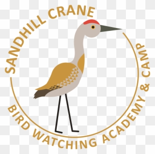 Sandhill Crane - All India Football Association Clipart