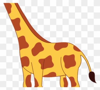Giraffes Clipart - Flash Card For Giraffe - Png Download