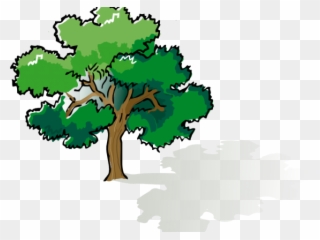 Bushes Clipart Shady Tree - Tree Clipart Png Transparent Png