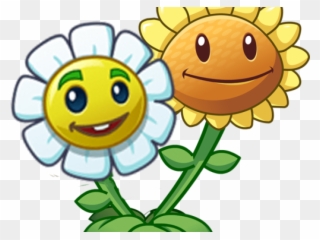 Plants Vs Zombies Clipart Regular - Plant Vs Zombie Sunflower - Png Download