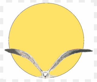 The Vacuum Seagull With Our Labelling Choice - Circle Clipart