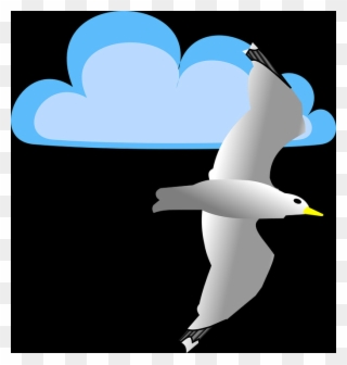 Free Seagull Pngs - Seabird Clipart