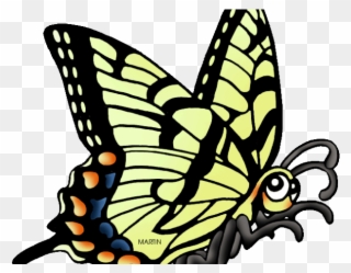 Oregon Clipart Butterfly - Eastern Tiger Swallowtail - Png Download