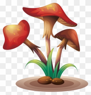 Fungus Clip Art Mushrooms - Clip Art - Png Download