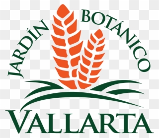 Vallarta Botanical Gardens - Jardin Botanico Puerto Vallarta Clipart
