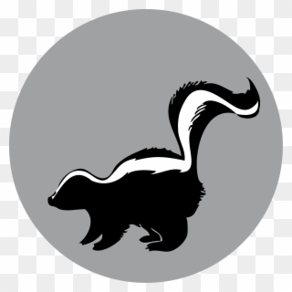 Raccoon American Mink Duck - Skunk Silhouette Clipart