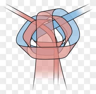 Open - Double Windsor Knot Diagram Clipart