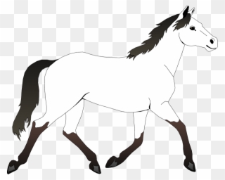 Coloring Pages Horses Free Clipart Mustang Coloring - Horse Black And White Clipart Png Transparent Png