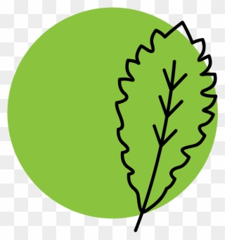 Mentors' Council - Illustration Clipart