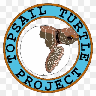 Topsail Turtle Project Clipart