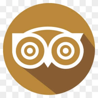 Trip Advisor Circle Icon Clipart