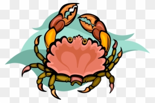 Vector Illustration Of Decapod Marine Crustacean Crab - Illustration Clipart