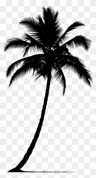 Arecaceae Silhouette Tree - Palm Tree Silhouette Png Clipart