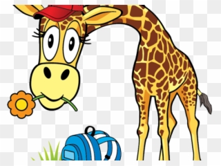 Giraffe Clipart School - Giraffe - Png Download