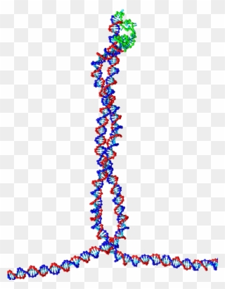 A Tetrahedral Dna Cage As Made By The Group Of Chengde - Nucleic Acid Double Helix Clipart