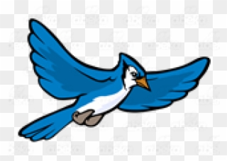 Jay Clipart Flying Blue Blue Jay Png Download Pinclipart