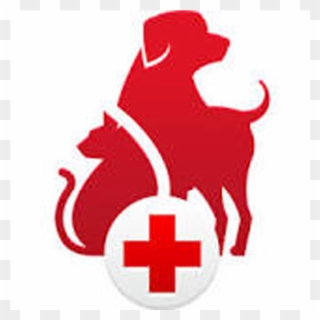 Pet First Aid - Pet First Aid App Clipart