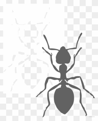 Page Of Clipartblack Com Black And White - Black Ant Clip Art - Png Download