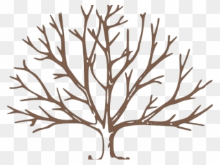 Bare Cliparts - Draw A Tree With Snow - Png Download