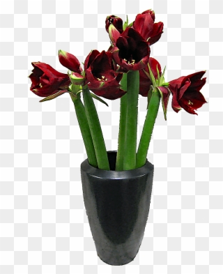 Flowerpot Clipart