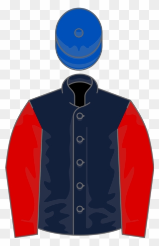 Owner Dick And Caroline Fowlston - Queen's Horse Colours Clipart