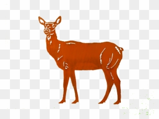 Doe-small Larger Image - White-tailed Deer Clipart