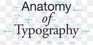 Type - Type Terminology And Anatomy Clipart