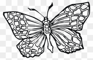 Butterfly Coloring Book - Girls Transparency Coloring Pages Butterfly Clipart