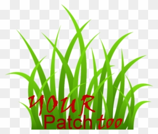 Your Patch Too Logo Feb 2015 - Grass Clipart Transparent Background - Png Download