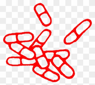 Pills Aesthetic Meds Medication Redfreetoedit - Tattoo Clipart