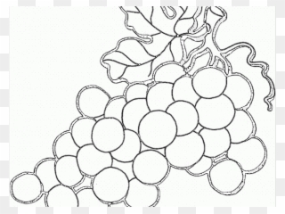 Grapes Clipart Coloring - Good Fruits Clipart Black And White - Png Download