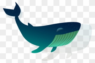 Blue Whale Clipart Shark - Whales - Png Download