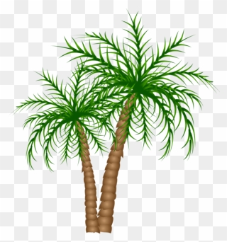 Palm Tree Clipart Transparent Background - Png Download