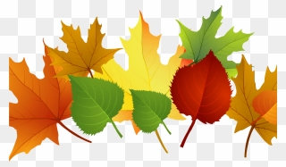 Falling Clipart Autumn Leaf - Autumn Leaves Clip Art - Png Download
